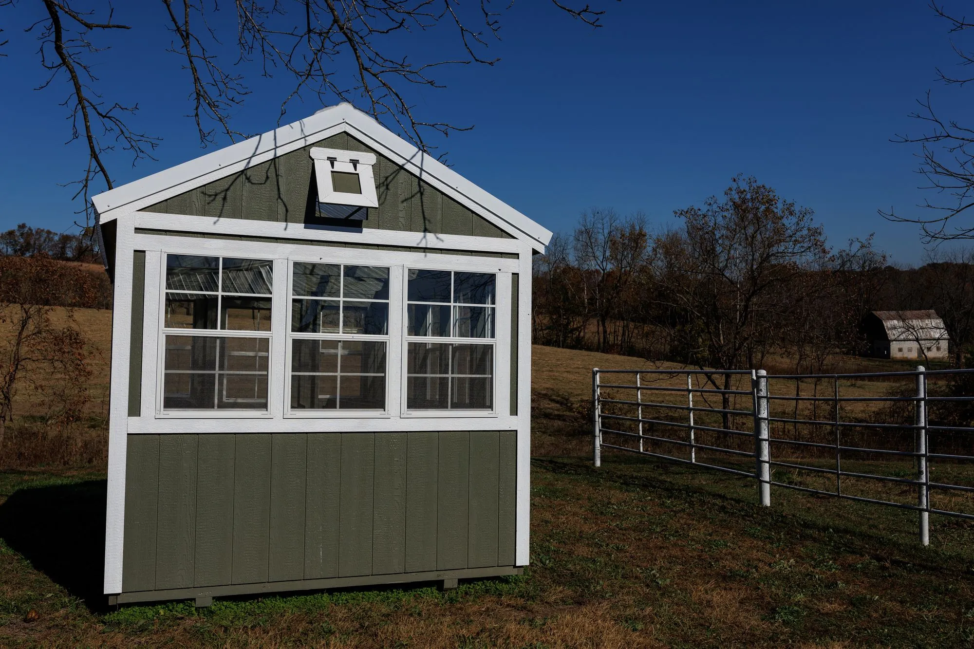 Greenhouse with olive-green siding, white trim, windows all round